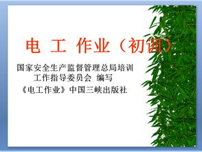 電工基礎與安全知識ppt課件