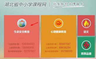 湖北省中小學(xué)生安全知識測試