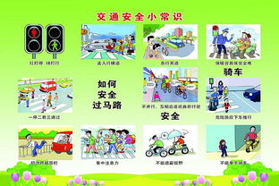 小學(xué)生防止交通安全小知識