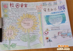 動(dòng)物實(shí)驗室安全知識板報設計圖