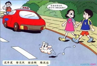 交通安全騎車(chē)安全知識