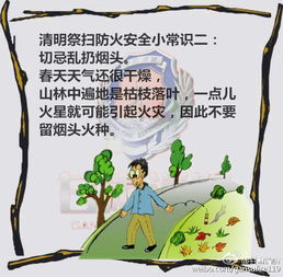 清明節關(guān)于安全的小知識