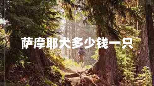 薩摩耶犬多少錢(qián)一只