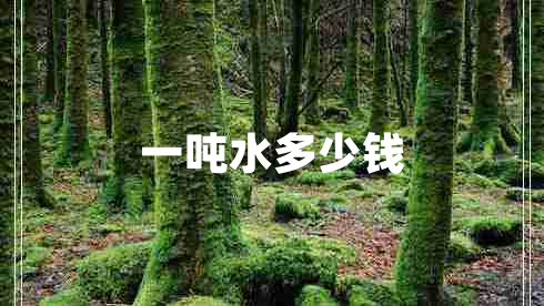 一噸水多少錢(qián)