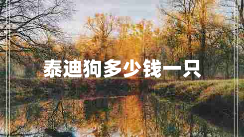 泰迪狗多少錢(qián)一只