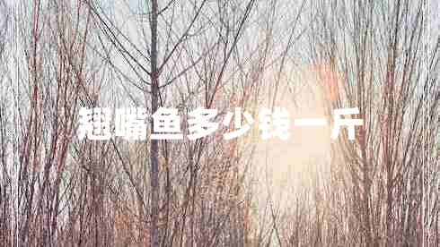 翹嘴魚(yú)多少錢一斤