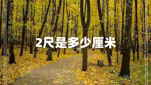 2尺是多少厘米