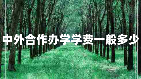 中外合作辦學學費一般多少