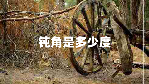 鈍角是多少度