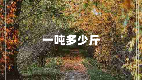 一噸多少斤