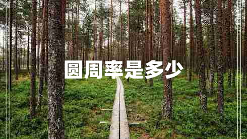 圓周率是多少