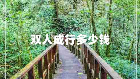 雙人成行多少錢(qián)
