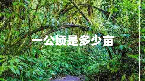 一公頃是多少畝