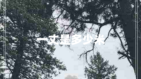 一丈是多少米