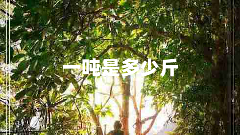 一噸是多少斤