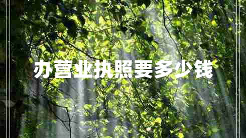 辦營(yíng)業(yè)執照要多少錢(qián)