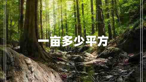 一畝多少平方