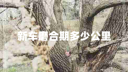 新車(chē)磨合期多少公里
