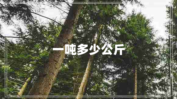 一噸多少公斤