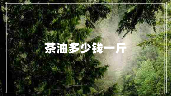 茶油多少錢(qián)一斤
