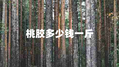 桃膠多少錢(qián)一斤