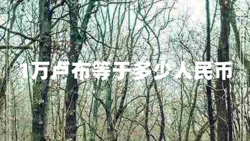 1萬(wàn)盧布等于多少人民幣
