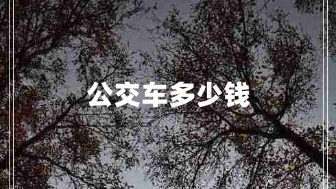 公交車(chē)多少錢(qián)
