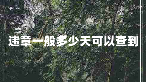 違章一般多少天可以查到