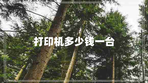 打印機多少錢(qián)一臺