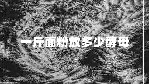 一斤面粉放多少酵母