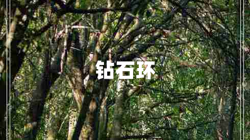 鉆石環(huán)