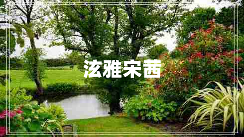 泫雅宋茜