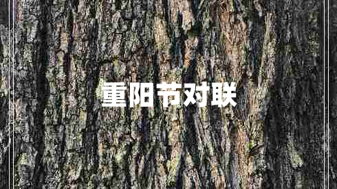 重陽(yáng)節對聯(lián)