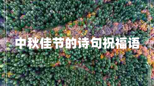 中秋佳節的詩(shī)句祝福語(yǔ)