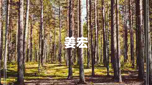 姜宏