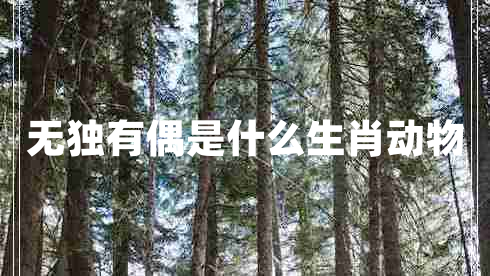 無(wú)獨有偶是什么生肖動(dòng)物