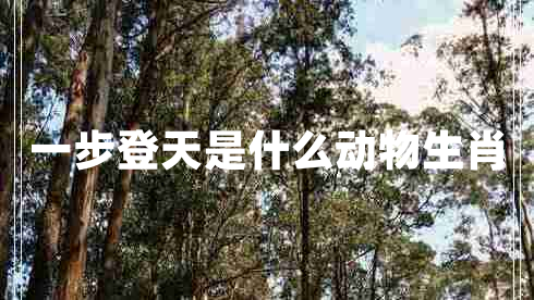 一步登天是什么動(dòng)物生肖