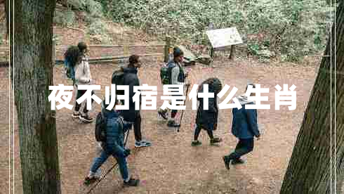 夜不歸宿是什么生肖