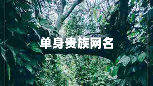 單身貴族網(wǎng)名