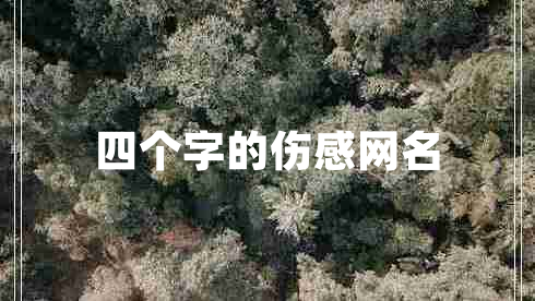 四個(gè)字的傷感網(wǎng)名