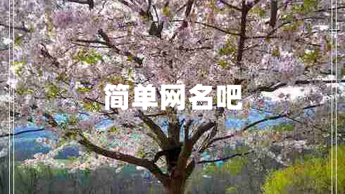 簡單網(wǎng)名吧