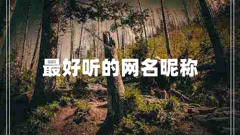 最好聽(tīng)的網(wǎng)名昵稱(chēng)
