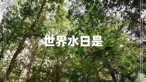 世界水日是