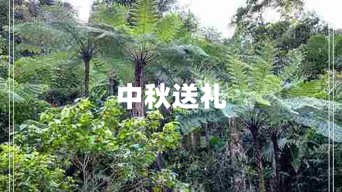 中秋送禮