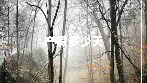 產(chǎn)假多少天