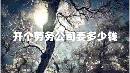 開(kāi)個(gè)勞務(wù)公司要多少錢(qián)