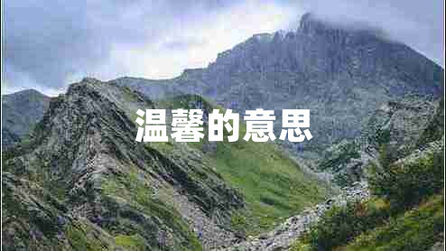 溫馨的意思