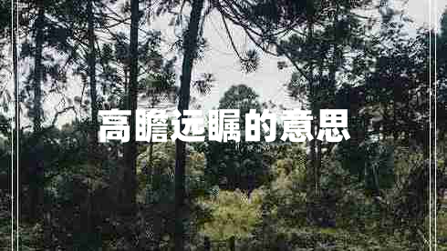 高瞻遠矚的意思