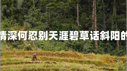 蒙漢情深何忍別天涯碧草話(huà)斜陽(yáng)的意思