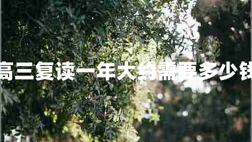 高三復讀一年大約需要多少錢(qián)